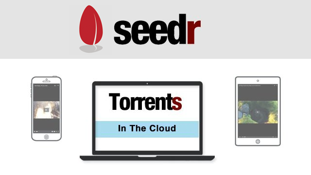 Popularity of seedr.cc